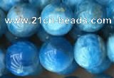 CAP590 15.5 inches 10mm round apatite beads wholesale