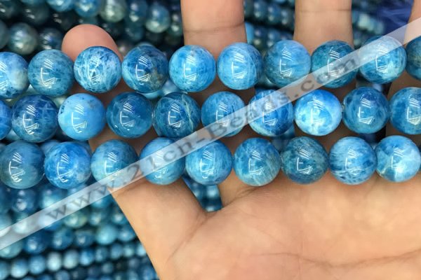 CAP609 15.5 inches 12mm round natural apatite gemstone beads