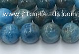 CAP630 15.5 inches 6mm round apatite beads wholesale