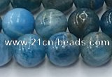 CAP631 15.5 inches 8mm round apatite beads wholesale