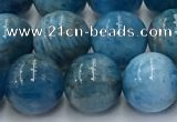 CAP632 15.5 inches 10mm round apatite beads wholesale