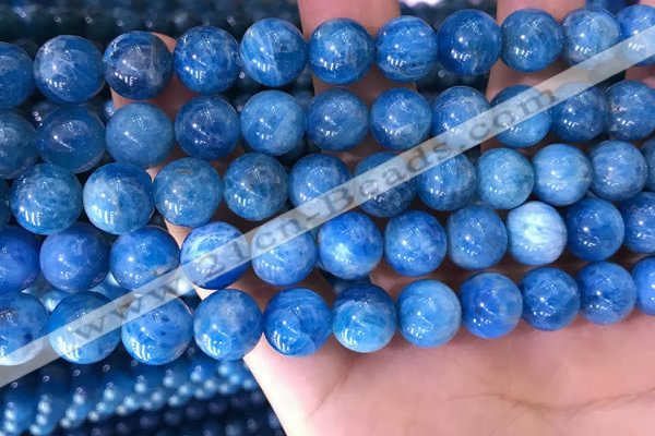 CAP639 15.5 inches 10mm round natural apatite gemstone beads