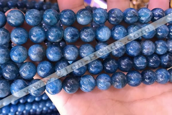 CAP640 15.5 inches 10mm round natural apatite gemstone beads