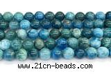 CAP757 15 inches 10mm round apatite gemstone beads wholesale