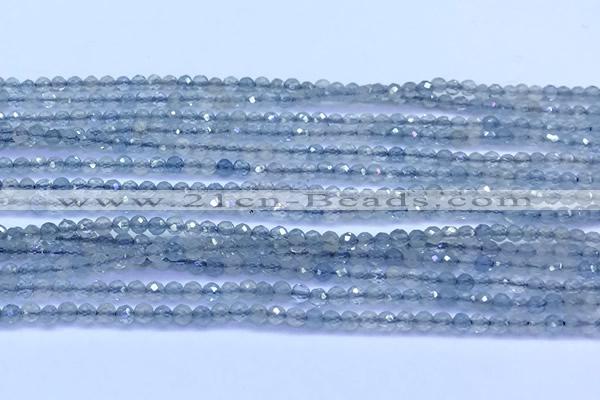 CAQ960 15 inches 2mm faceted round aquamarine beads