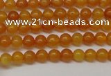 CAR101 15.5 inches 4mm round natural amber beads