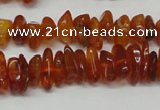 CAR115 16 inches 3*6mm - 4*8mm natural amber chips beads