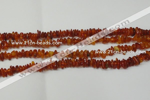 CAR115 16 inches 3*6mm - 4*8mm natural amber chips beads
