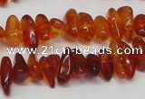 CAR116 16 inches 3*8mm - 4*10mm natural amber chips beads