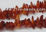 CAR117 16 inches 2*6mm - 3*10mm natural amber chips beads