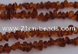 CAR201 24 inches 3*6mm natural amber chips beads wholesale