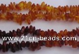 CAR202 24 inches 3*6mm natural amber chips beads wholesale