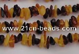 CAR204 24 inches 3*8mm natural amber chips beads wholesale