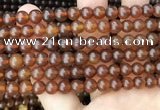 CAR237 15.5 inches 6mm - 7mm round natural amber beads wholesale