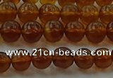 CAR526 15.5 inches 5mm - 6mm round natural amber beads wholesale