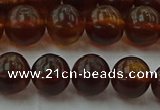 CAR528 15.5 inches 8mm - 9mm round natural amber beads wholesale