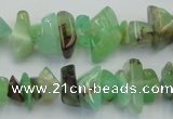 CAU407 15.5 inches 4*8mm - 6*14mm Australia chrysoprase chips beads