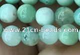 CAU421 15.5 inches 6mm round Australia chrysoprase beads