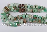 CAU430 10*15mm - 12*25mm faceted tyre Australia chrysoprase beads