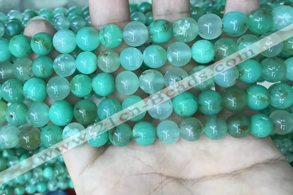 CAU442 15.5 inches 8.5mm - 9mm round Australia chrysoprase beads