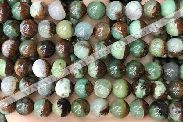 CAU455 15.5 inches 10mm - 11mm round Australia chrysoprase beads