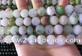 CAU464 15.5 inches 13mm - 14mm round Australia chrysoprase beads