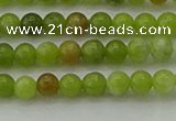 CAU500 15.5 inches 4mm round Chinese chrysoprase beads wholesale