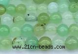 CAU569 15 inches 5mm round Australia chrysoprase beads