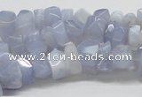 CBC06 15.5 inches 12mm blue chalcedony chips beads wholesale