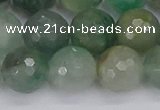 CBC704 15.5 inches 12mm faceted round African green chalcedony beads