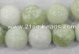 CBJ207 15.5 inches 16mm round butter jade beads wholesale