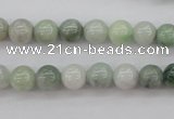 CBJ609 15.5 inches 8mm round jade beads wholesale