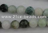 CBJ610 15.5 inches 10mm round jade beads wholesale