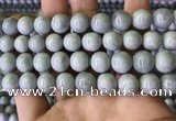 CBJ713 15.5 inches 10mm round jade gemstone beads wholesale