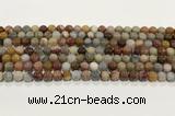 CBJ740 15.5 inches 6mm round petrified wood jade gemstone beads wholesale