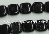 CBT06 16 inches 14*14mm square natural biotite beads wholesale