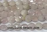 CCB1369 15 inches 4mm faceted coin morganite beads