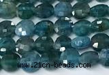 CCB1390 15 inches 4mm faceted coin apatite beads