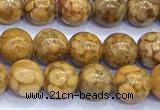 CCB1485 15 inches 8mm round gemstone beads