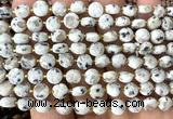 CCB1787 15 inches 6mm faceted coin sesame jasper beads