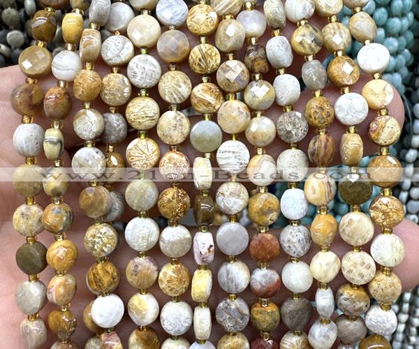 CCB1816 15 inches 6mm faceted coin fossil coral beads