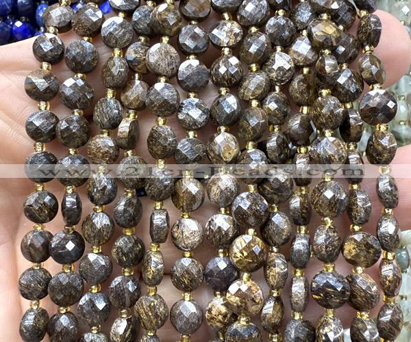 CCB1830 15 inches 6mm faceted coin bronzite gemstone beads