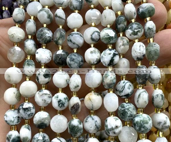 CCB1933 15 inches 8mm faceted coin tree agate beads wholesale