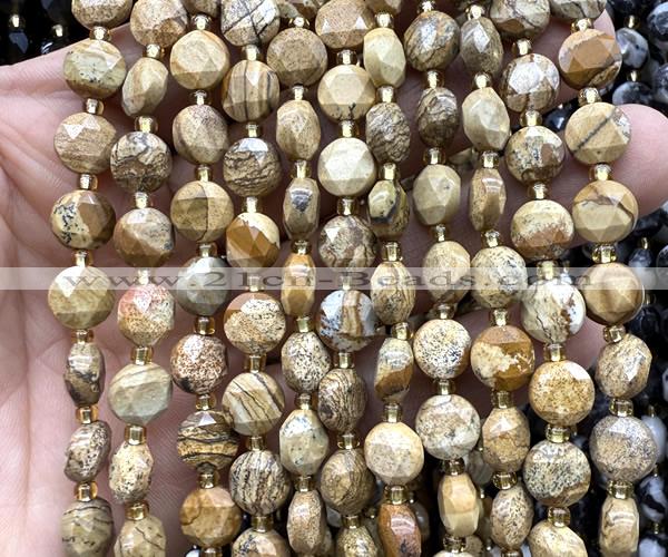 CCB1989 15 inches 8mm faceted coin picture jasper beads