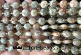 CCB2004 15 inches 8mm faceted coin Chinese unakite beads