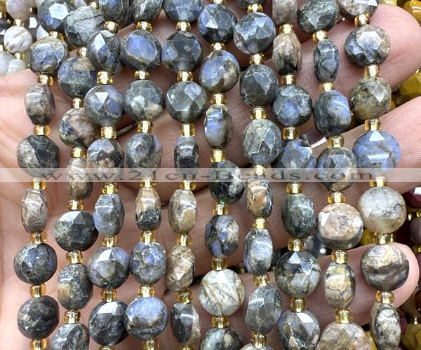 CCB2032 15 inches 8mm faceted coin grey opal beads