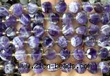 CCB2084 15 inches 10mm faceted coin dogtooth amethyst beads