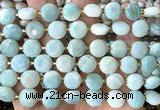 CCB2181 15 inches 10mm faceted coin amazonite beads wholesale
