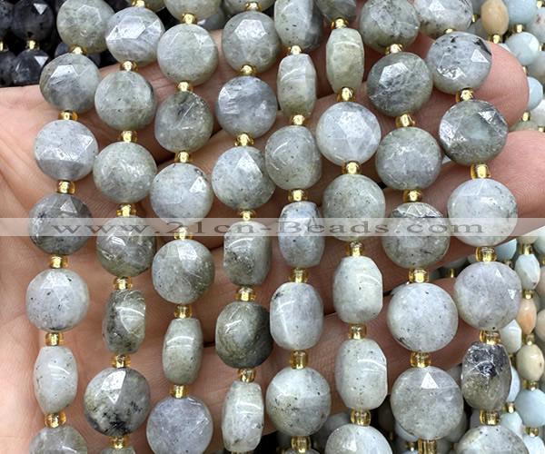 CCB2189 15 inches 10mm faceted coin labradorite beads wholesale