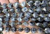 CCB2191 15 inches 10mm faceted coin black labradorite beads